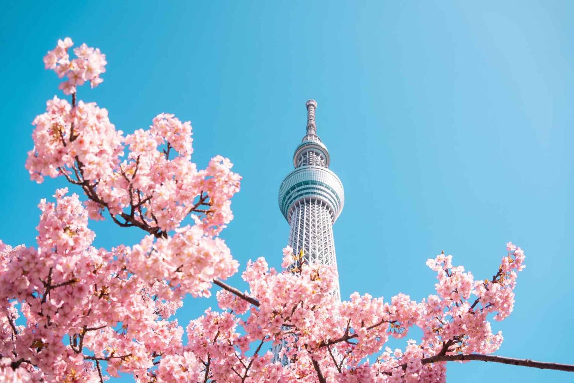 Fl Hotel Asakusa Tokyo prefektur Exteriör bild